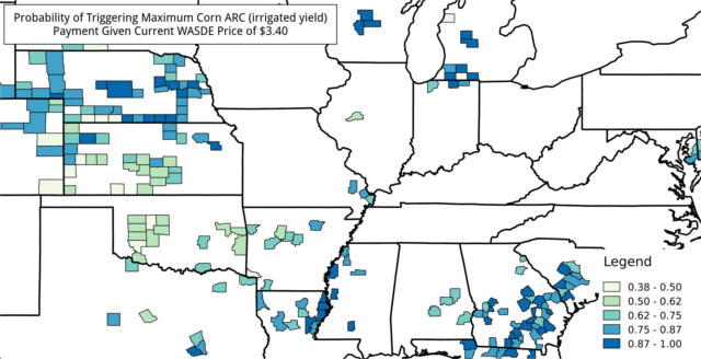 Corn ARC irrigated yield